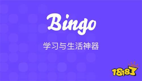 bingo电脑app（bingo电脑端）